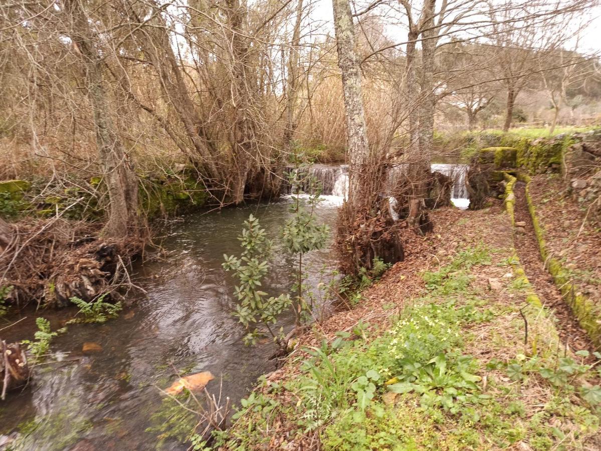 Porto D'Abrigo - Alojamento Local Sardoal Екстериор снимка